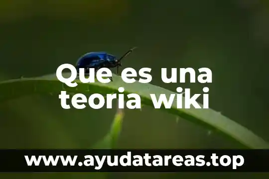 Que es una teoria wiki