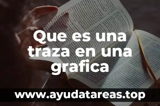 Que es una traza en una grafica