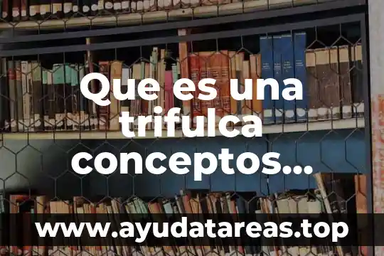 Qué es lógica conceptos 3 Que es una trifulca conceptos geograficos