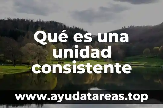 Qué es una unidad consistente