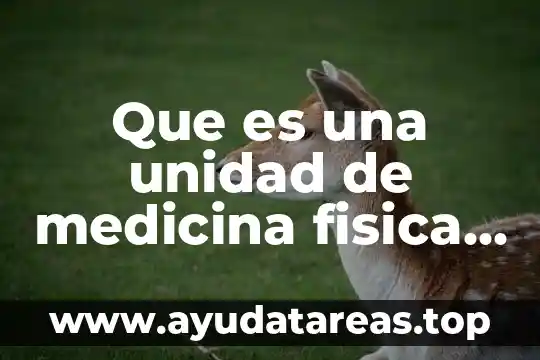 Que es medicina familiar adulto 6 Que es una unidad de medicina fisica y rehabilitacion