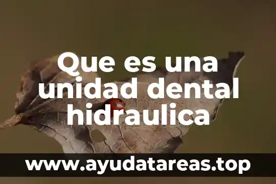 Que es una unidad dental hidraulica