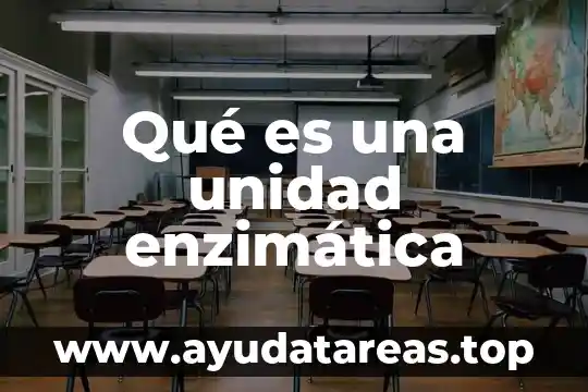 Qué es una unidad enzimática