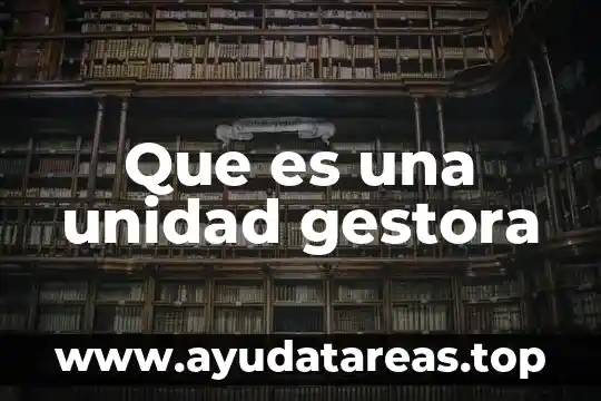 Que es una unidad gestora