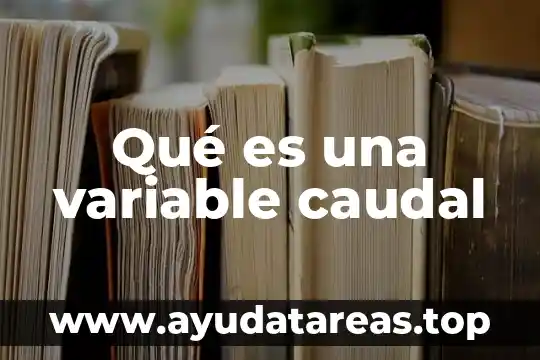 Que es una variable matematica y tipos 6 Qué es una variable caudal