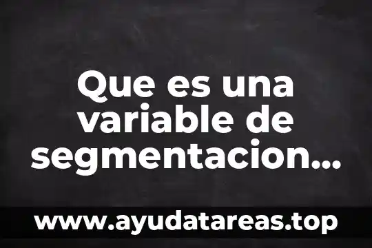 Que es una variable de segmentacion de mercado