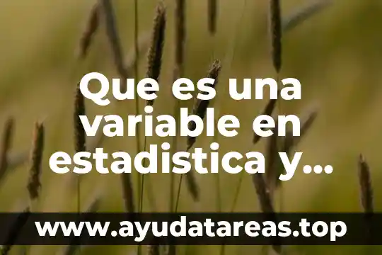 Que es una variable y tipos de variables en investigacion 8 Que es una variable en estadistica y para que sirve