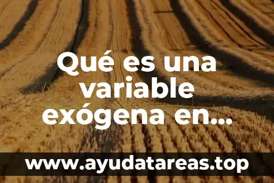Qué es una variable exógena en economía
