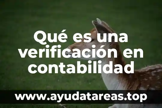 Que es una unidad de verificacion de instalaciones electricas 3 Qué es una verificación en contabilidad