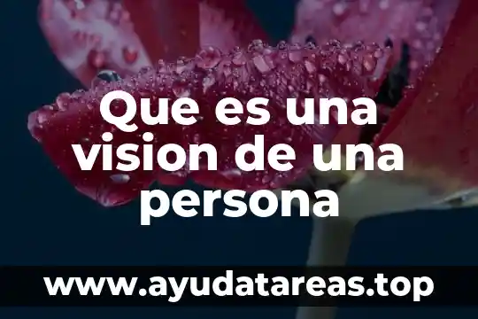 Qué es misión visión valores filosofía objetivos política 8 Que es una vision de una persona