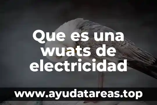 Que es una wuats de electricidad