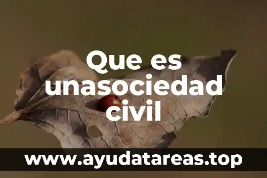 Justicia civil que es 5 Que es unasociedad civil