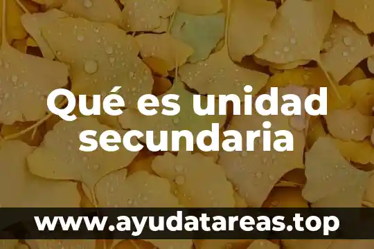 Qué es unidad secundaria