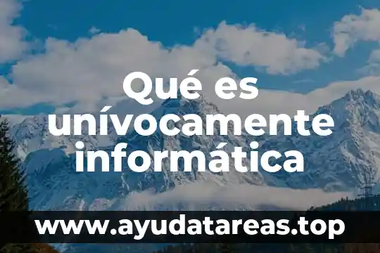 Que es re significado informatica 4 Qué es unívocamente informática