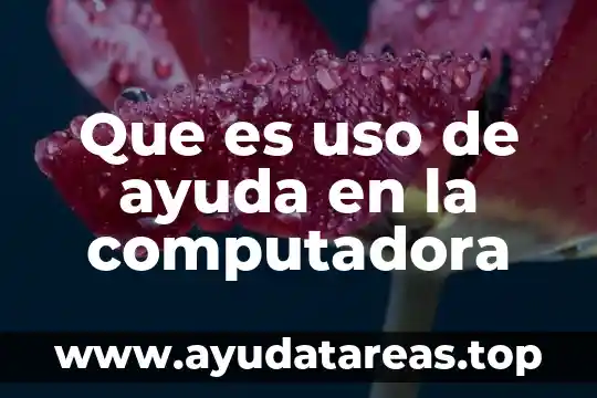 Qué es herramientas de la computadora 4 Que es uso de ayuda en la computadora