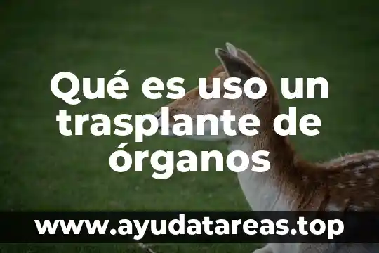 Qué es uso un trasplante de órganos