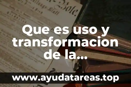 Que es uso y transformacion de la informacion