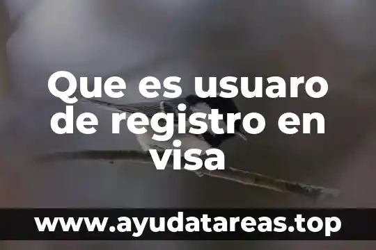Ambiguedad fonética que es 3 Que es usuaro de registro en visa