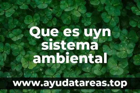 Que es uyn sistema ambiental