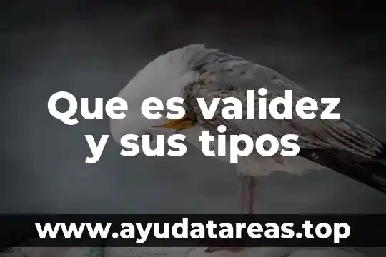 Que es la subida de tipos 5 Que es validez y sus tipos