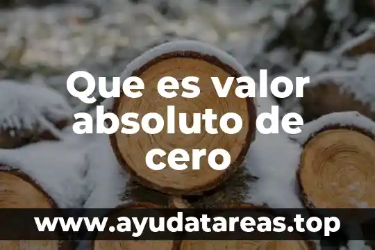 Que es valor absoluto de cero