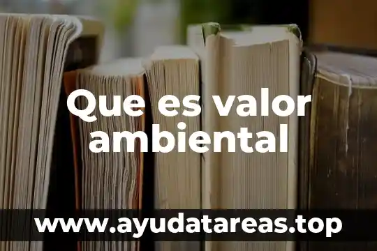 Que es valor ambiental