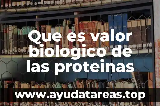 Qué es la proteínas tipos de alimentos provienen 5 Que es valor biologico de las proteinas