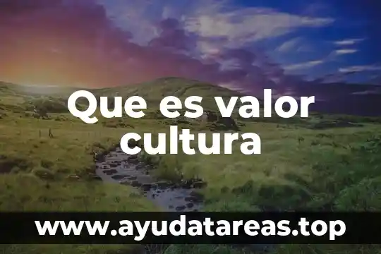 Que es la cultura dominguez catarina udlap 3 Que es valor cultura