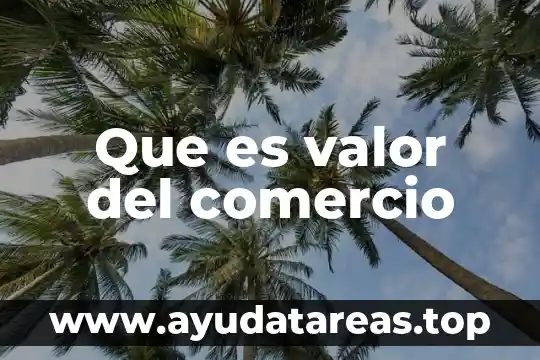 Que es valor relativo y absoluto de un número 5 Que es valor del comercio