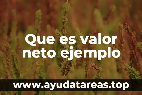 Que es valor positivo del dinero 5 Que es valor neto ejemplo