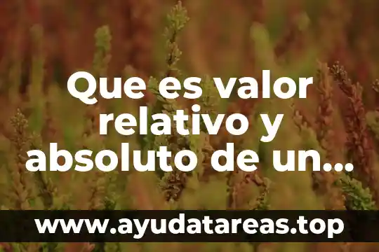 Valor de transparencia que es 8 Que es valor relativo y absoluto de un número