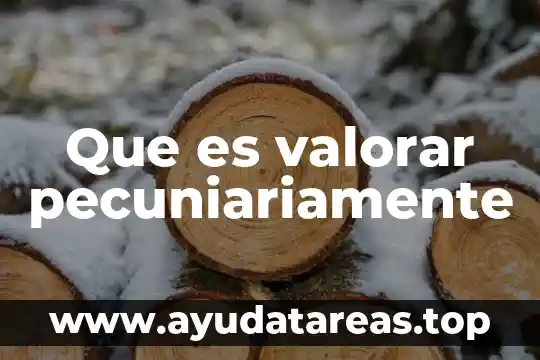 Que es valorar pecuniariamente