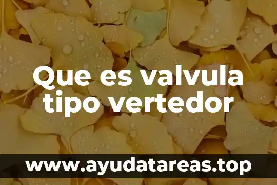 Que es valvula tipo vertedor