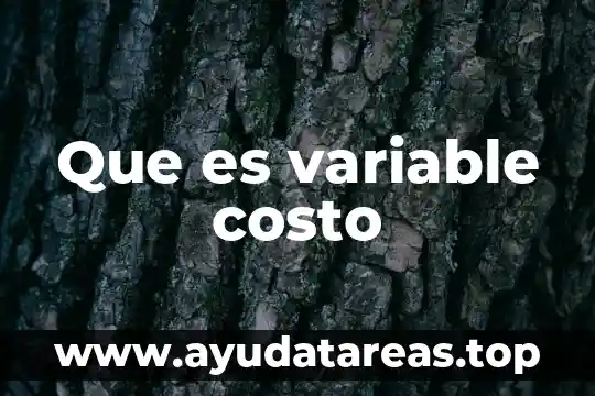 Que es una variable matematica y tipos 5 Que es variable costo
