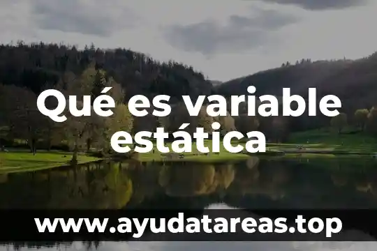 Qué es variable estática
