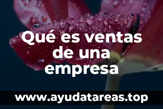 Qué es ventas de una empresa