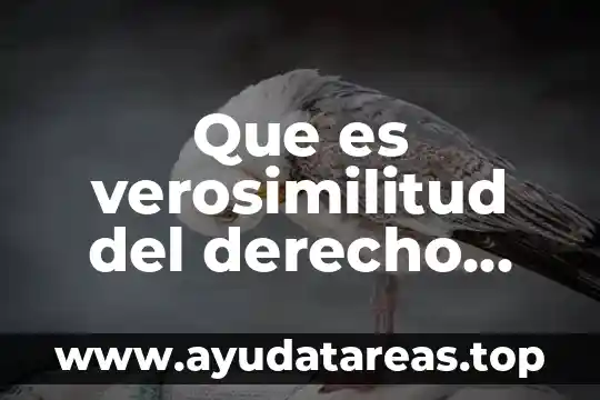 Que es porta inserto derecho para tnm_33 8 Que es verosimilitud del derecho invocado