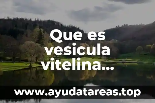 Que es vesicula vitelina definicion