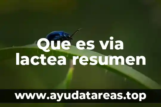 Que es la via de apremio concepto de auores 5 Que es via lactea resumen