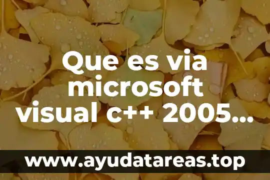 Que es la via de apremio concepto de auores 6 Que es via microsoft visual c++ 2005 redistributable