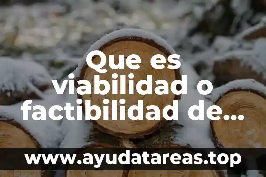 Que es viabilidad o factibilidad de la investigacion