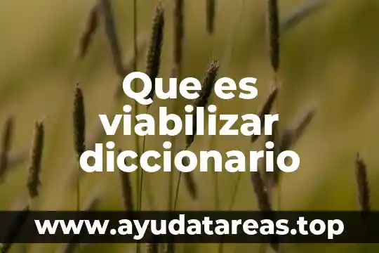 Que es viabilizar diccionario