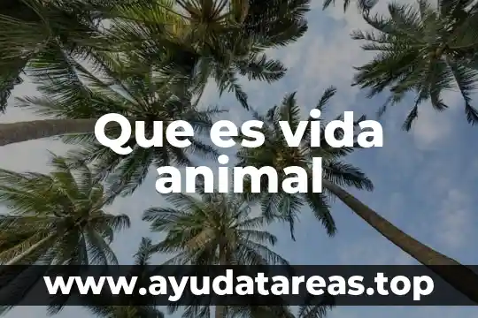 Qué es abrir puertas en la vida 7 Que es vida animal