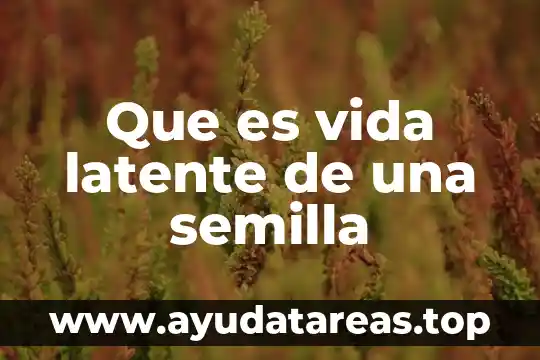 Que es vida latente de una semilla