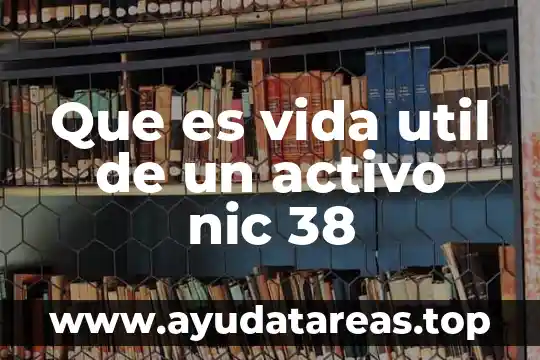 Que es ser un campeon en la vida 8 Que es vida util de un activo nic 38