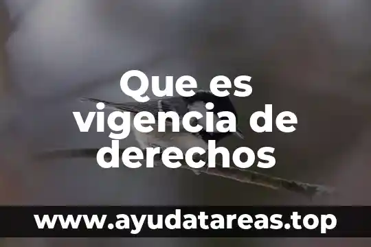 Que es vigencia de derechos