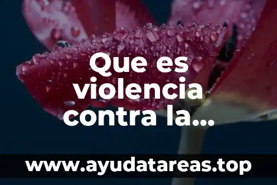 Por que es importante que las mujeres trabajen con masculinidades 3 Que es violencia contra la mujeres