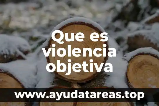Qué es la realidad objetiva y la realidad subjetiva 4 Que es violencia objetiva