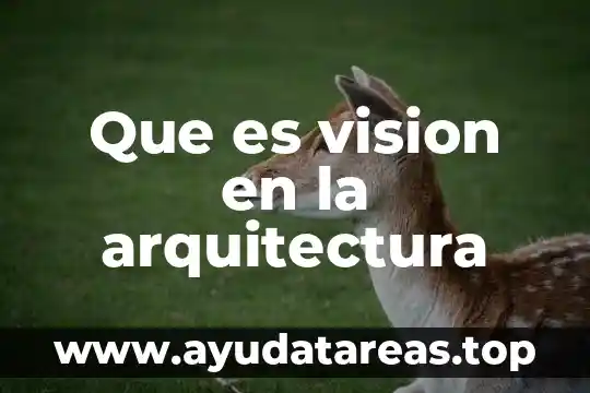 Visión que es 5 Que es vision en la arquitectura