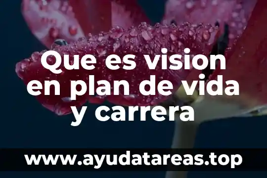 Qué es misión visión valores filosofía objetivos política 6 Que es vision en plan de vida y carrera